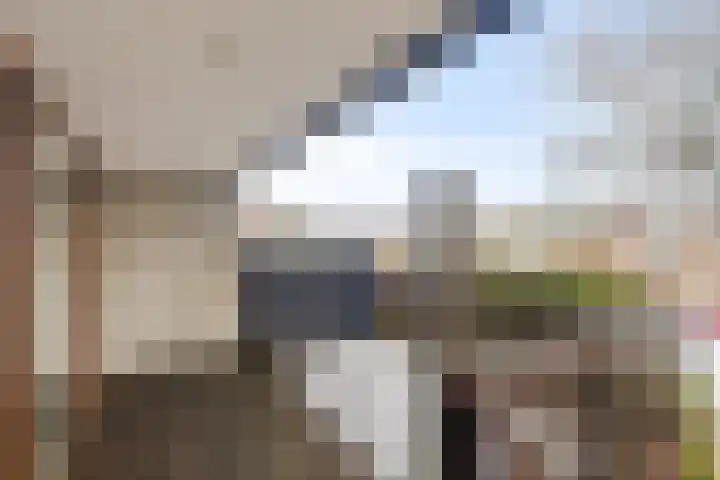 Meester J. Henderikxstraat 16 Julianadorp thumbnail 15