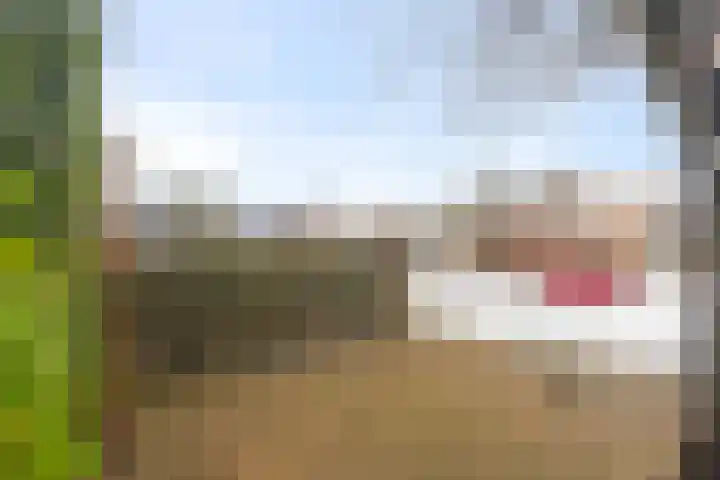 Meester J. Henderikxstraat 16 Julianadorp thumbnail 16