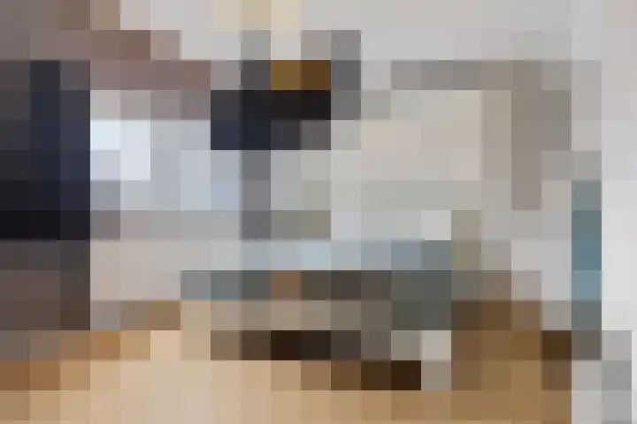 Meester J. Henderikxstraat 16 Julianadorp thumbnail 19