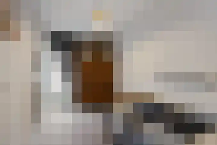 Meester J. Henderikxstraat 16 Julianadorp thumbnail 24