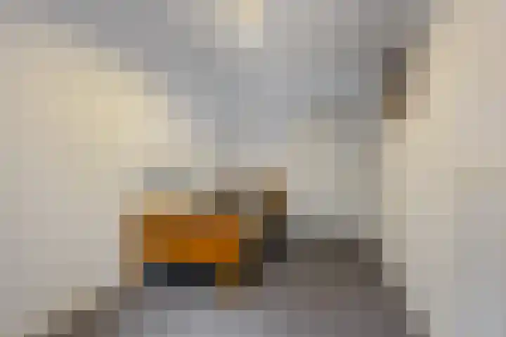 Meester J. Henderikxstraat 16 Julianadorp thumbnail 25