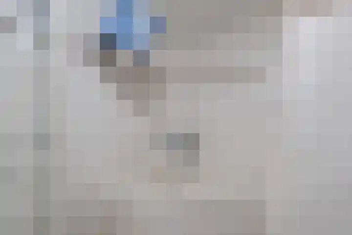Meester J. Henderikxstraat 16 Julianadorp thumbnail 27