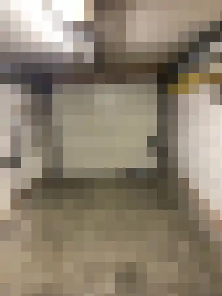 Meester J. Henderikxstraat 16 Julianadorp thumbnail 29