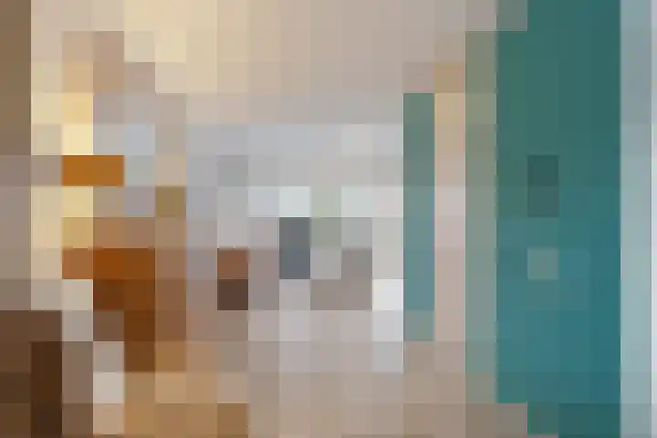 Meester J. Henderikxstraat 16 Julianadorp thumbnail 7