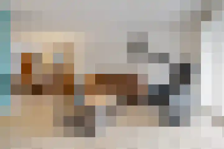 Meester J. Henderikxstraat 16 Julianadorp thumbnail 9