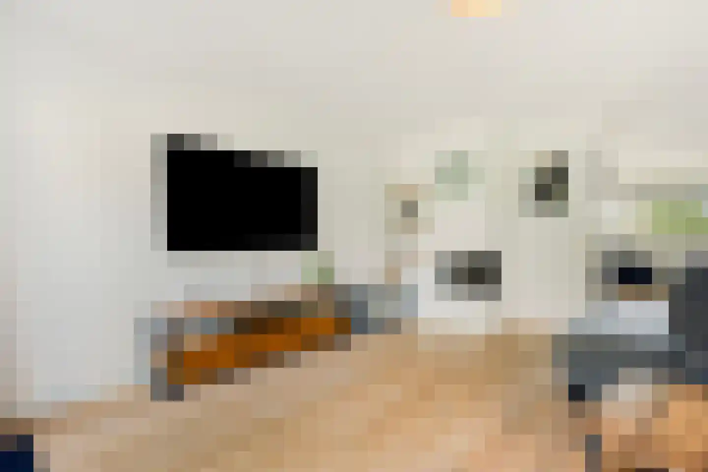 Meester J. Henderikxstraat 56 Julianadorp thumbnail 11