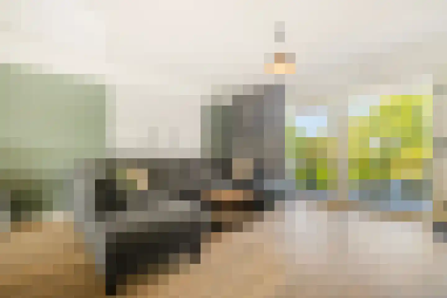 Meester J. Henderikxstraat 56 Julianadorp thumbnail 12