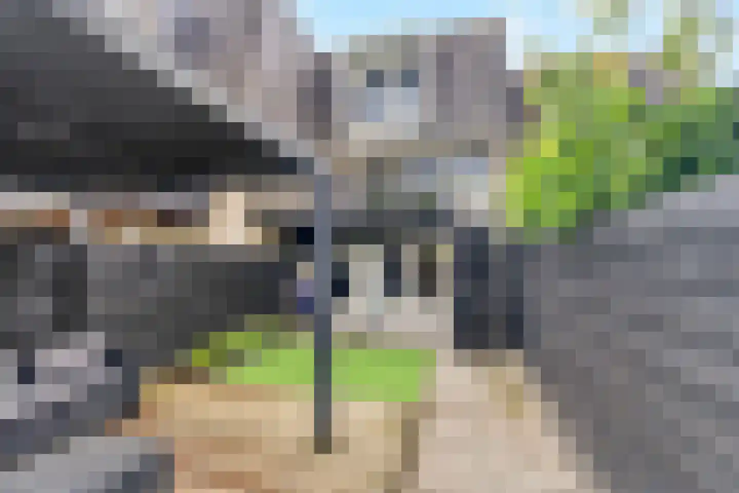 Meester J. Henderikxstraat 56 Julianadorp thumbnail 16