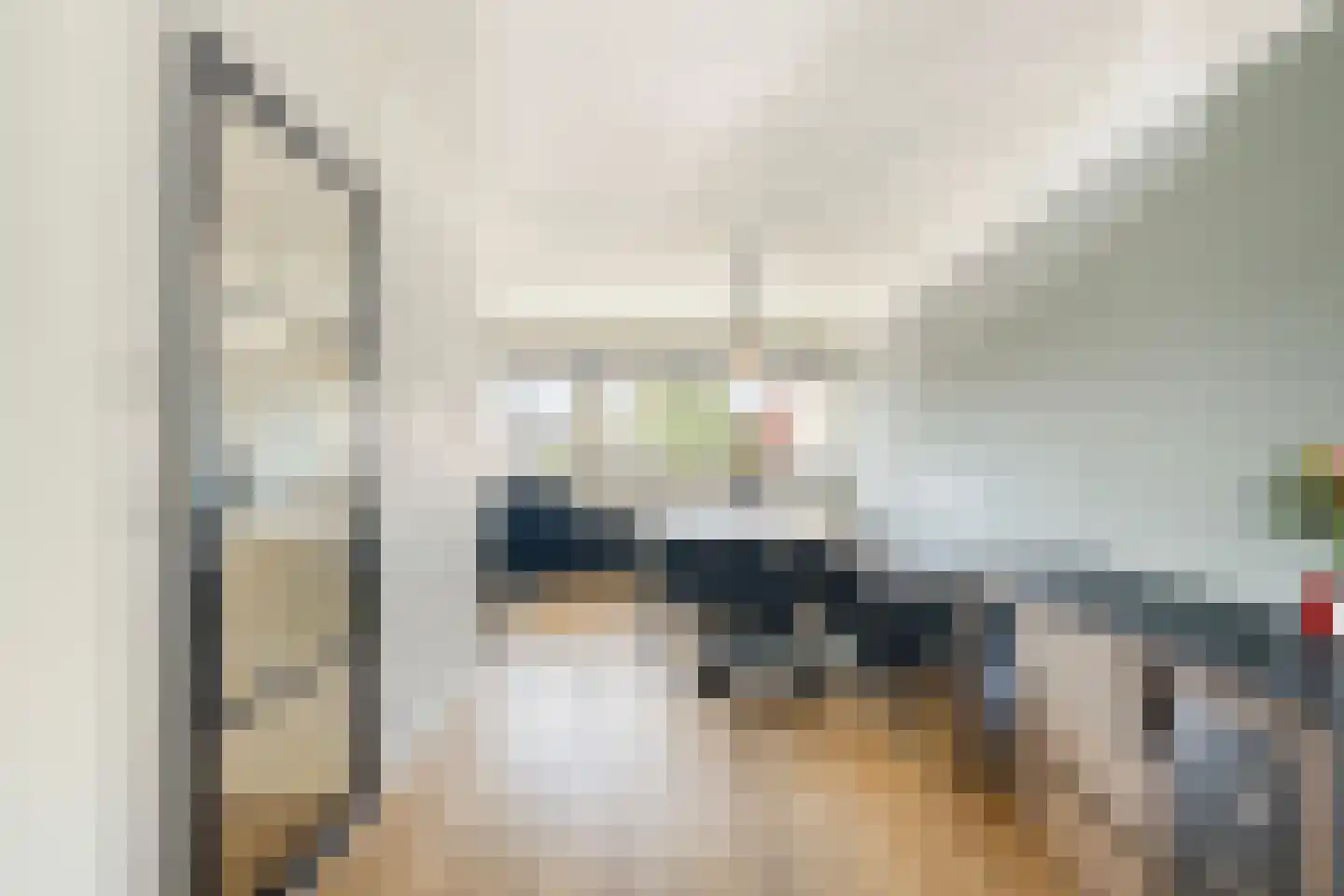 Meester J. Henderikxstraat 56 Julianadorp thumbnail 17