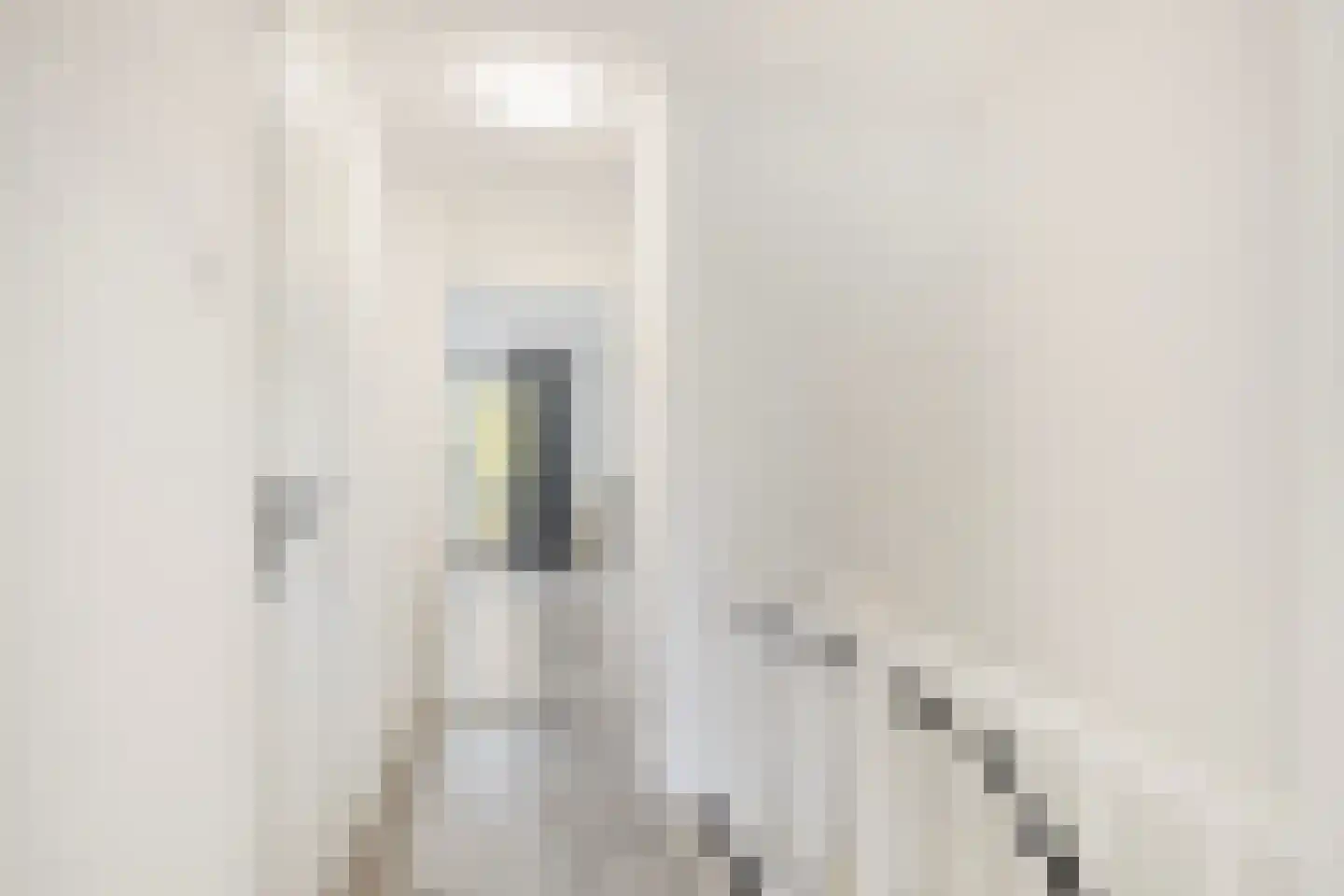 Meester J. Henderikxstraat 56 Julianadorp thumbnail 20