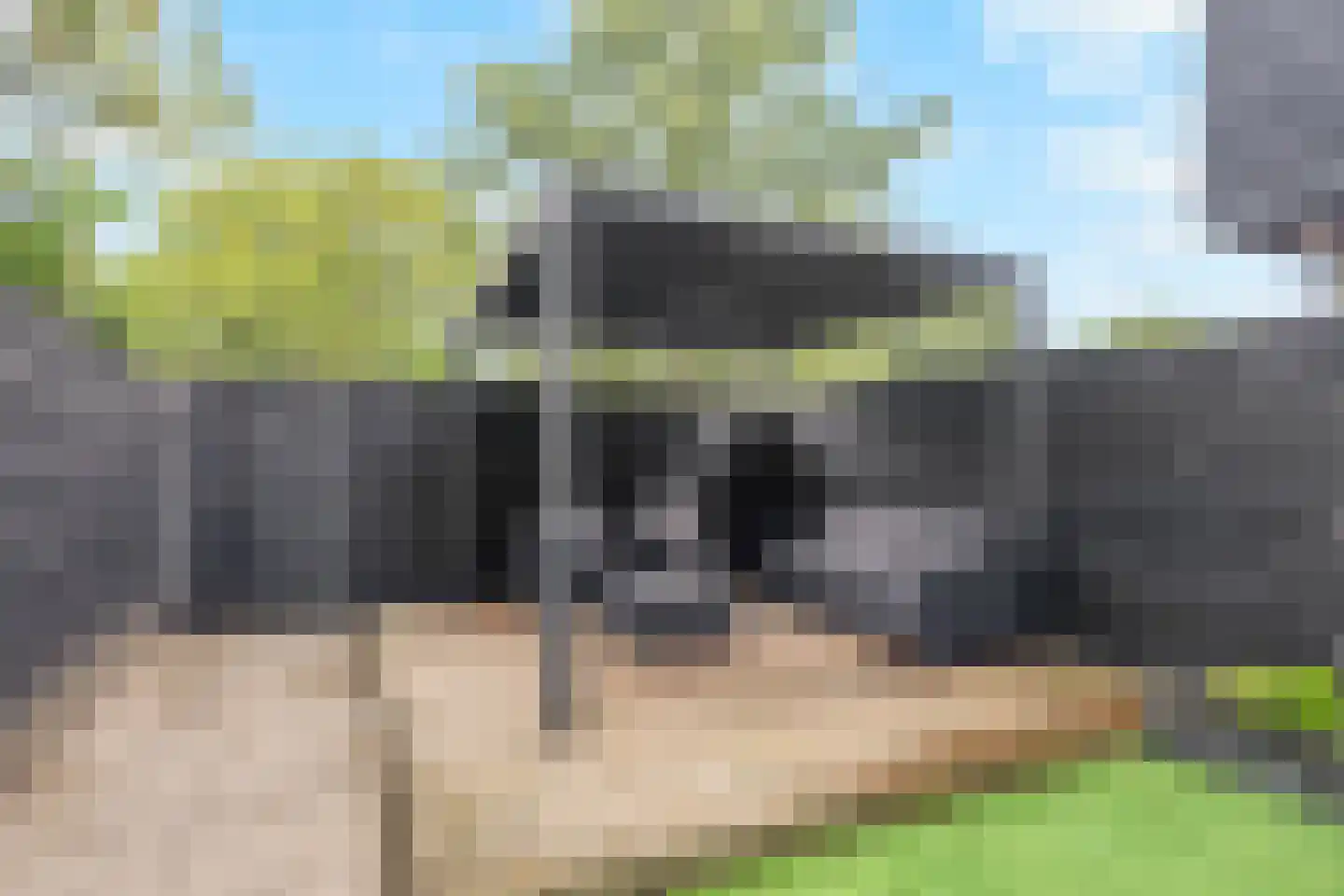 Meester J. Henderikxstraat 56 Julianadorp thumbnail 5