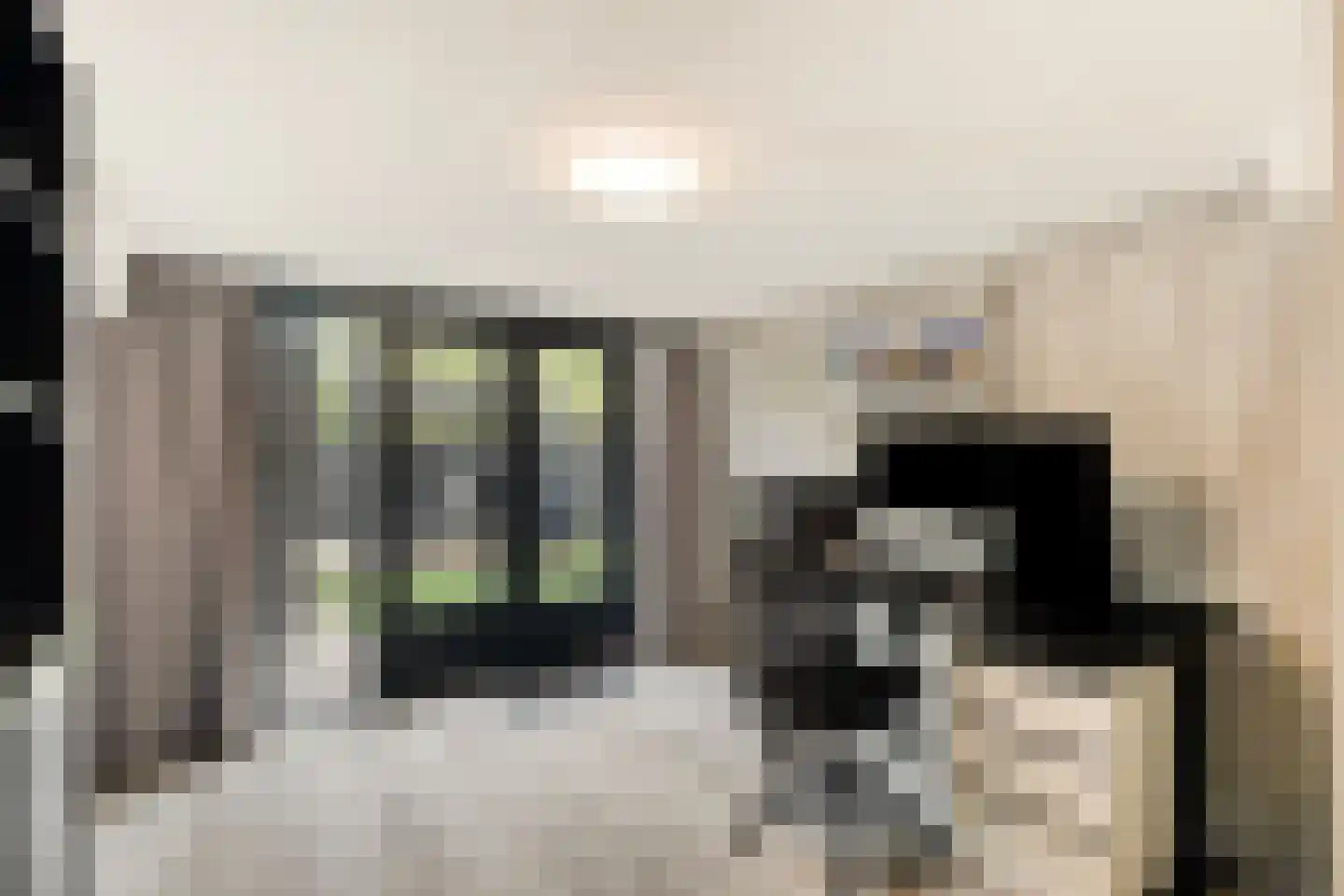 Meester J. Henderikxstraat 56 Julianadorp thumbnail 6