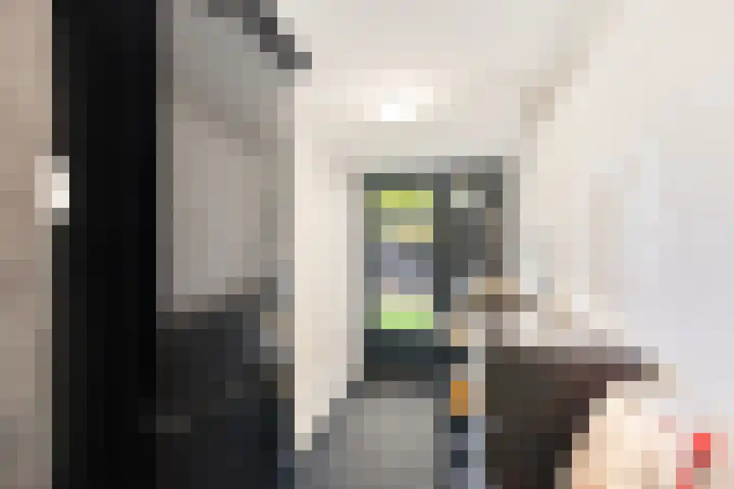 Meester J. Henderikxstraat 56 Julianadorp thumbnail 7