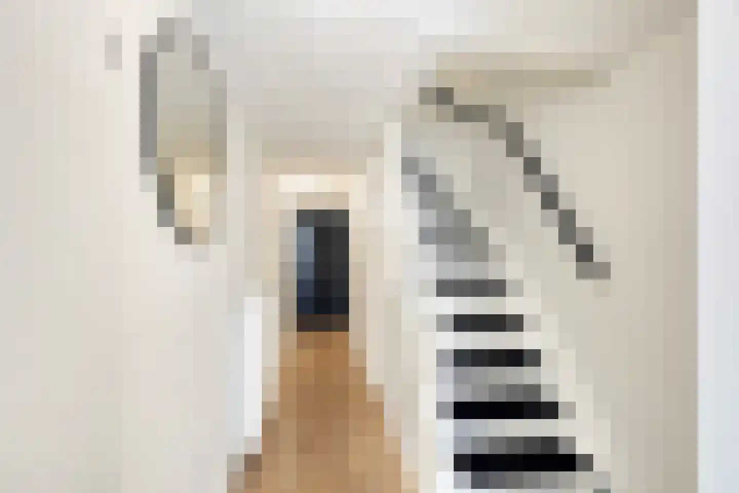 Meester J. Henderikxstraat 56 Julianadorp thumbnail 9
