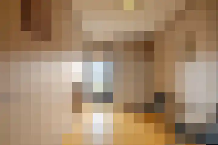Meester J. Henderikxstraat 72 Julianadorp thumbnail 11