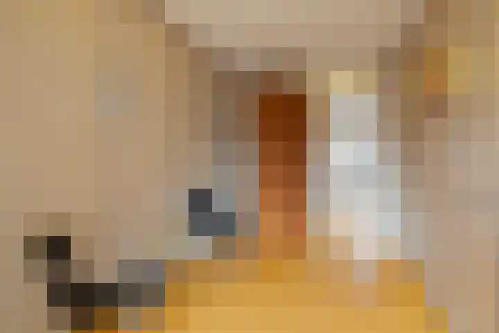Meester J. Henderikxstraat 72 Julianadorp thumbnail 12
