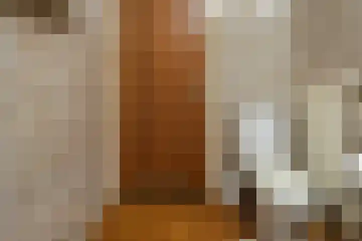 Meester J. Henderikxstraat 72 Julianadorp thumbnail 16