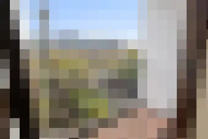 Meester J. Henderikxstraat 72 Julianadorp thumbnail 17
