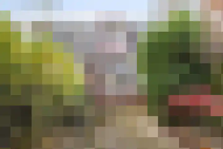 Meester J. Henderikxstraat 72 Julianadorp thumbnail 21