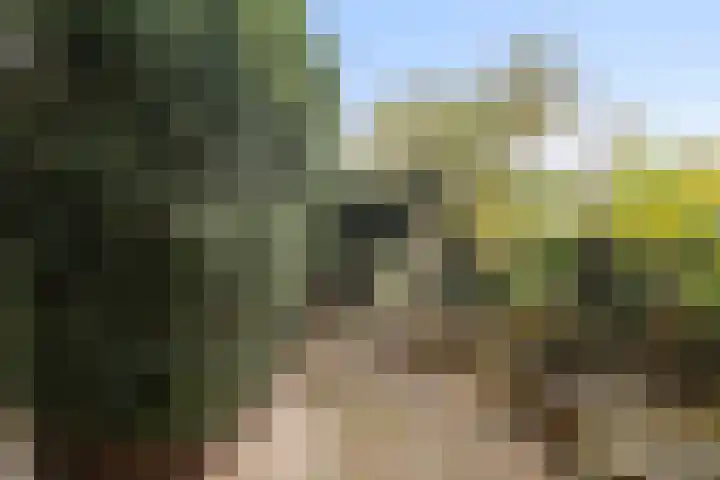 Meester J. Henderikxstraat 72 Julianadorp thumbnail 22