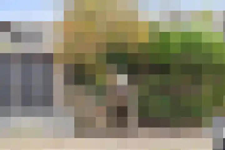 Meester J. Henderikxstraat 72 Julianadorp thumbnail 23