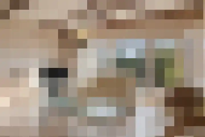 Meester J. Henderikxstraat 72 Julianadorp thumbnail 4