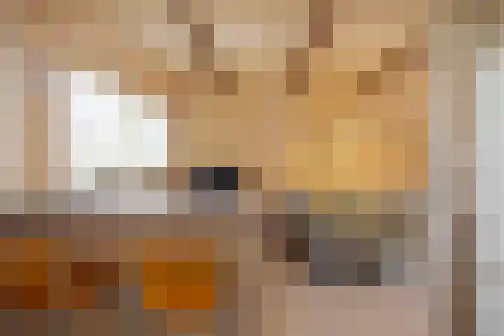 Meester J. Henderikxstraat 72 Julianadorp thumbnail 8