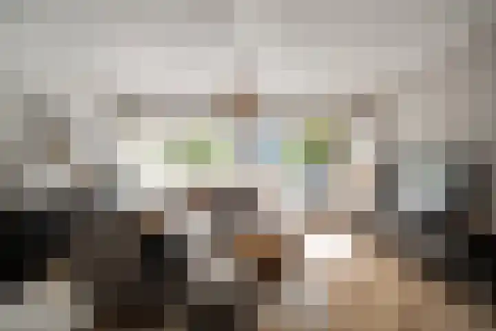 Meester J. Henderikxstraat 74 Julianadorp thumbnail 12
