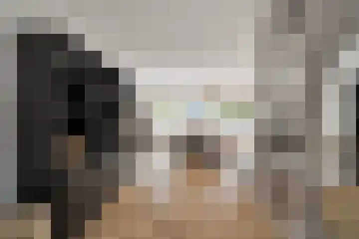 Meester J. Henderikxstraat 74 Julianadorp thumbnail 14