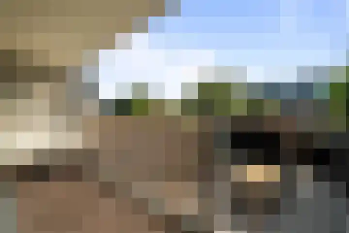 Meester J. Henderikxstraat 74 Julianadorp thumbnail 15