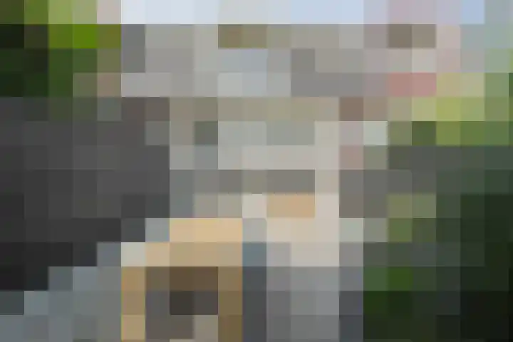 Meester J. Henderikxstraat 74 Julianadorp thumbnail 16