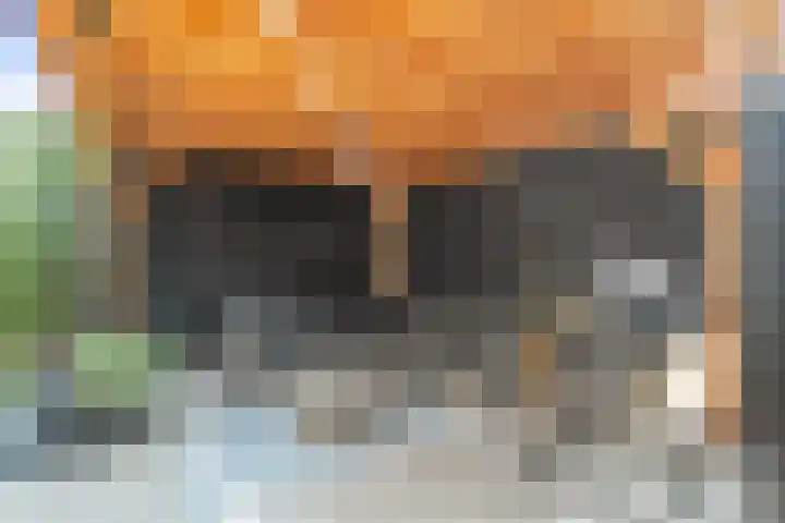 Meester J. Henderikxstraat 74 Julianadorp thumbnail 18