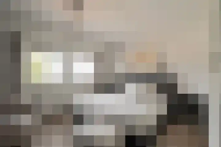 Meester J. Henderikxstraat 74 Julianadorp thumbnail 19