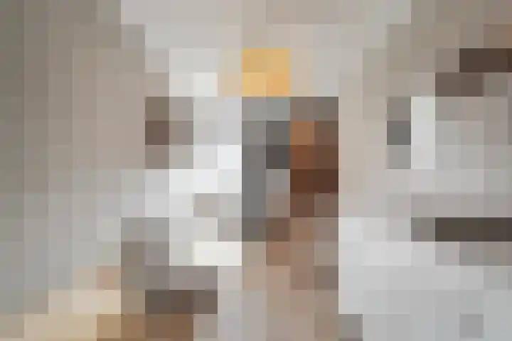 Meester J. Henderikxstraat 74 Julianadorp thumbnail 21