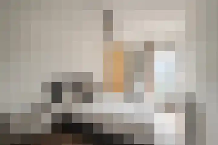 Meester J. Henderikxstraat 74 Julianadorp thumbnail 23