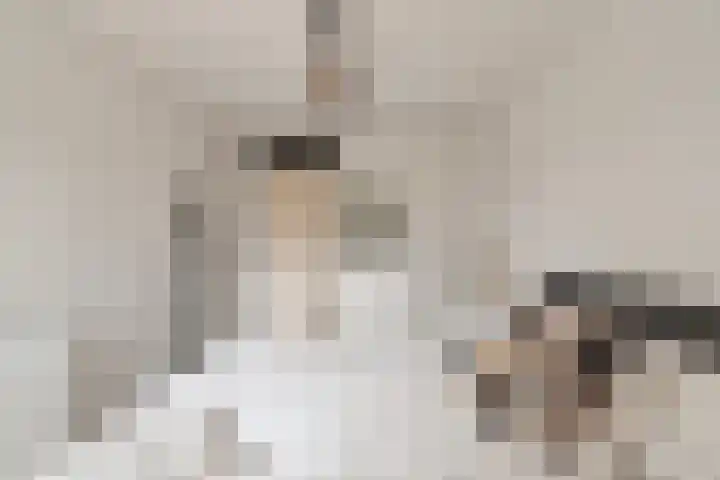 Meester J. Henderikxstraat 74 Julianadorp thumbnail 24