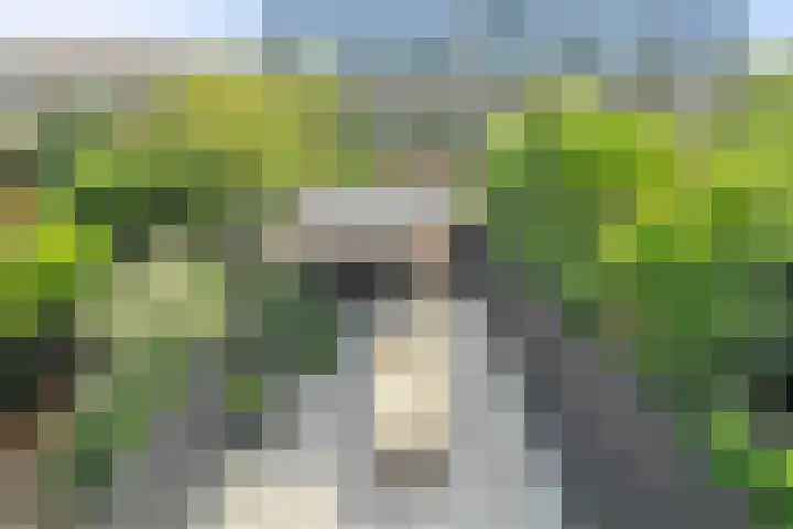 Meester J. Henderikxstraat 74 Julianadorp thumbnail 25