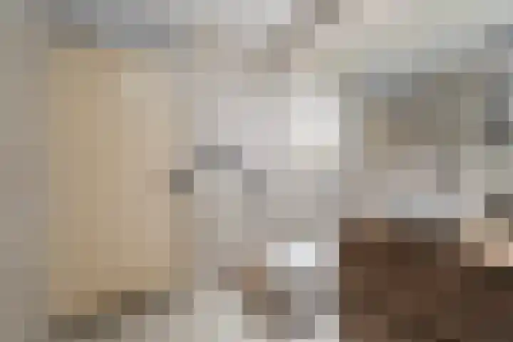 Meester J. Henderikxstraat 74 Julianadorp thumbnail 27