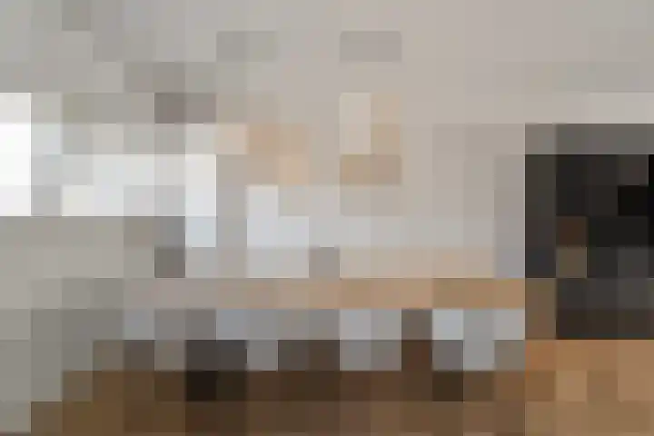 Meester J. Henderikxstraat 74 Julianadorp thumbnail 4