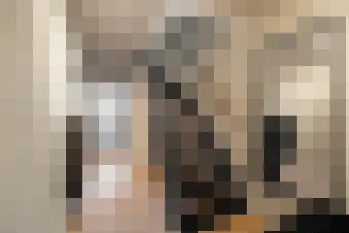 Meester J. Henderikxstraat 74 Julianadorp thumbnail 6