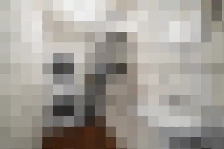 Meester J. Henderikxstraat 74 Julianadorp thumbnail 8