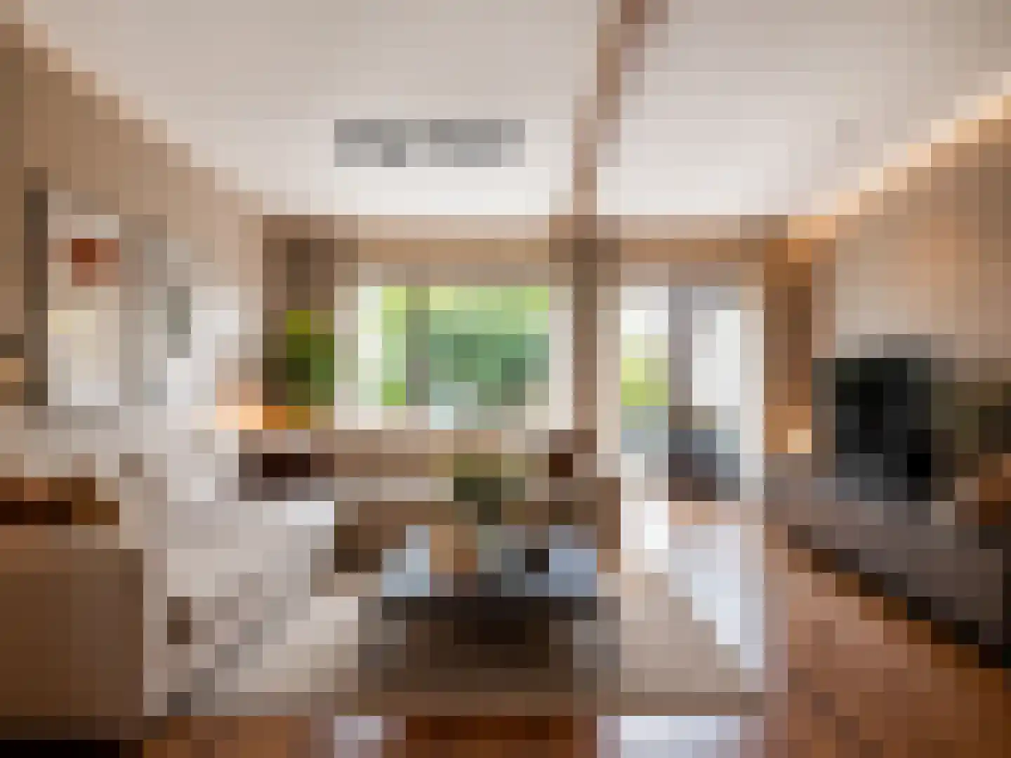 Meester J. Henderikxstraat 76 Julianadorp thumbnail 10