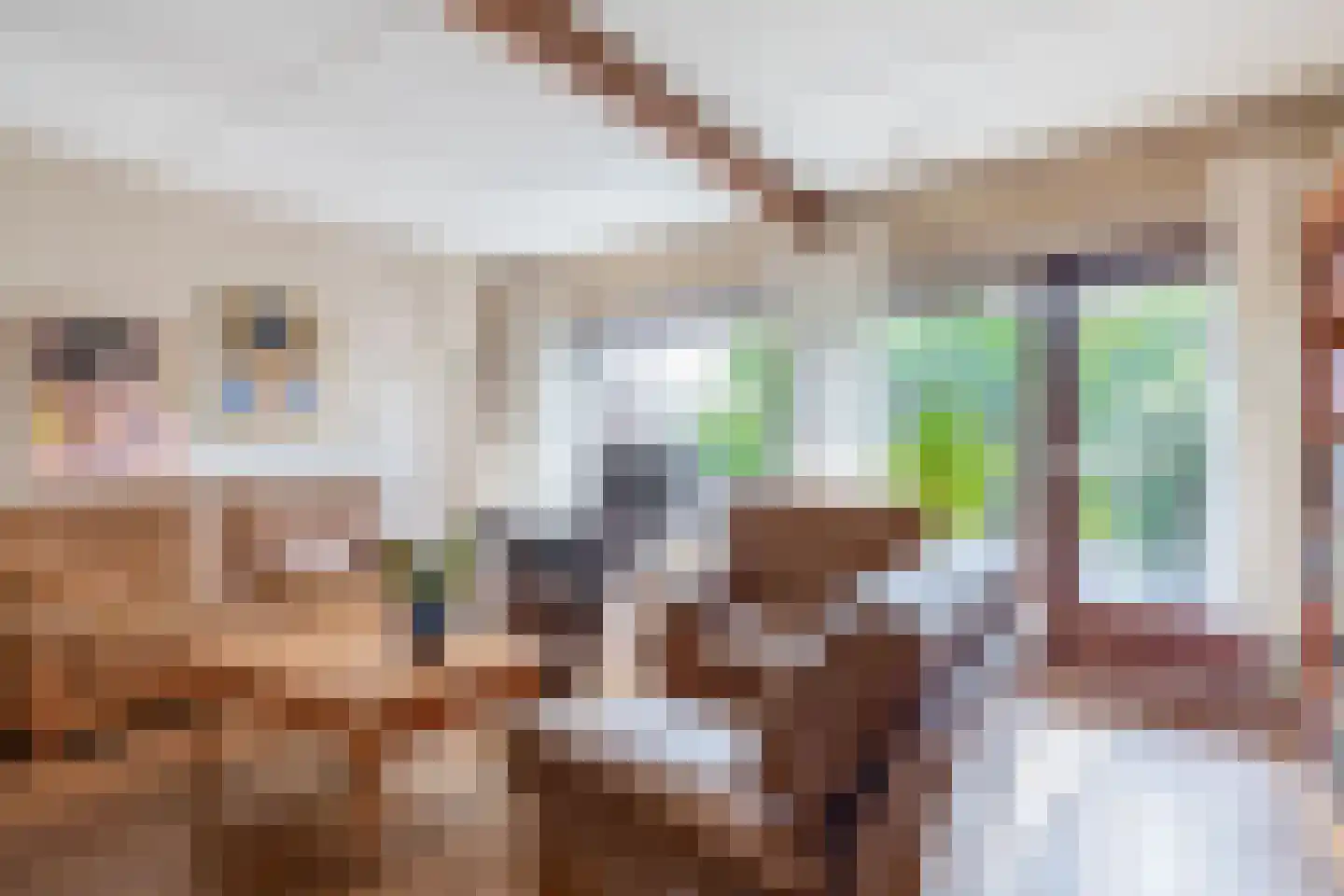 Meester J. Henderikxstraat 76 Julianadorp thumbnail 11