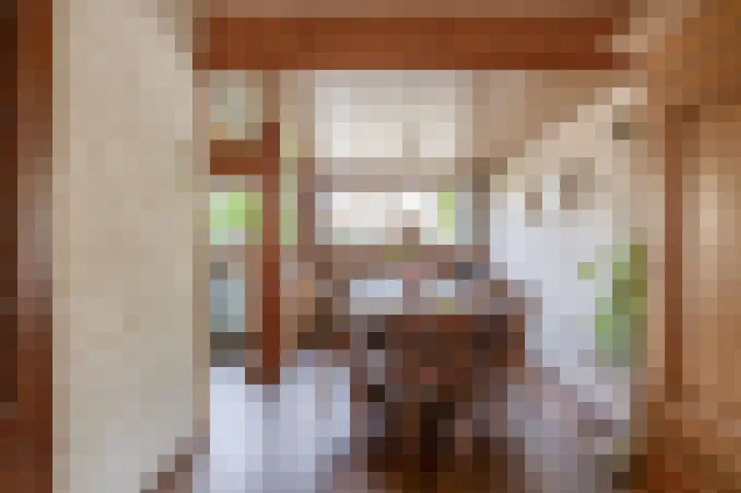 Meester J. Henderikxstraat 76 Julianadorp thumbnail 13