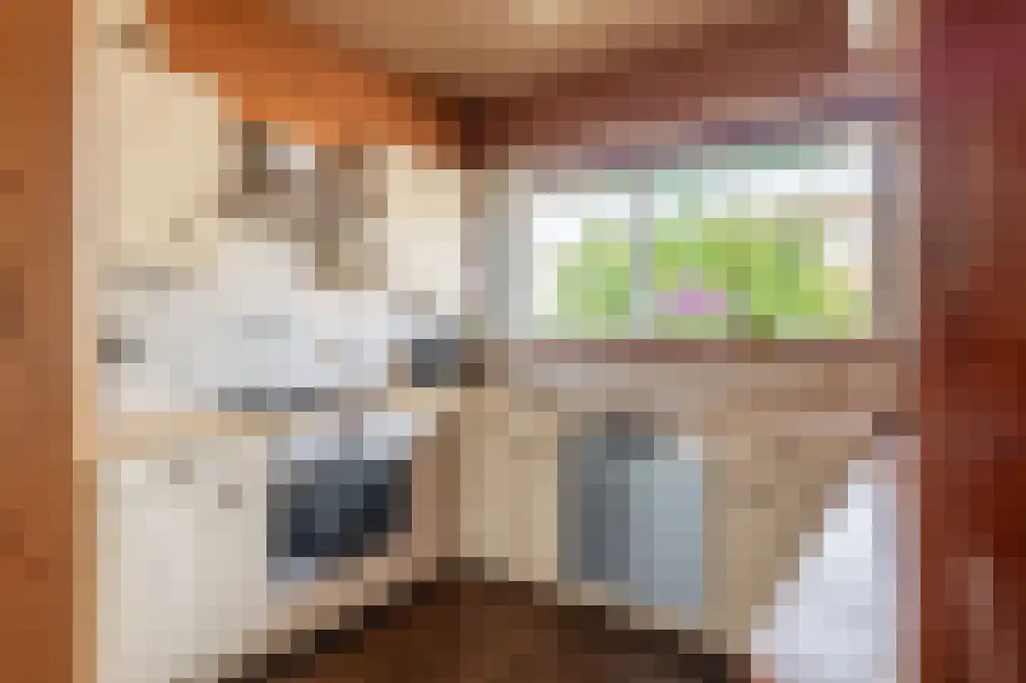 Meester J. Henderikxstraat 76 Julianadorp thumbnail 15
