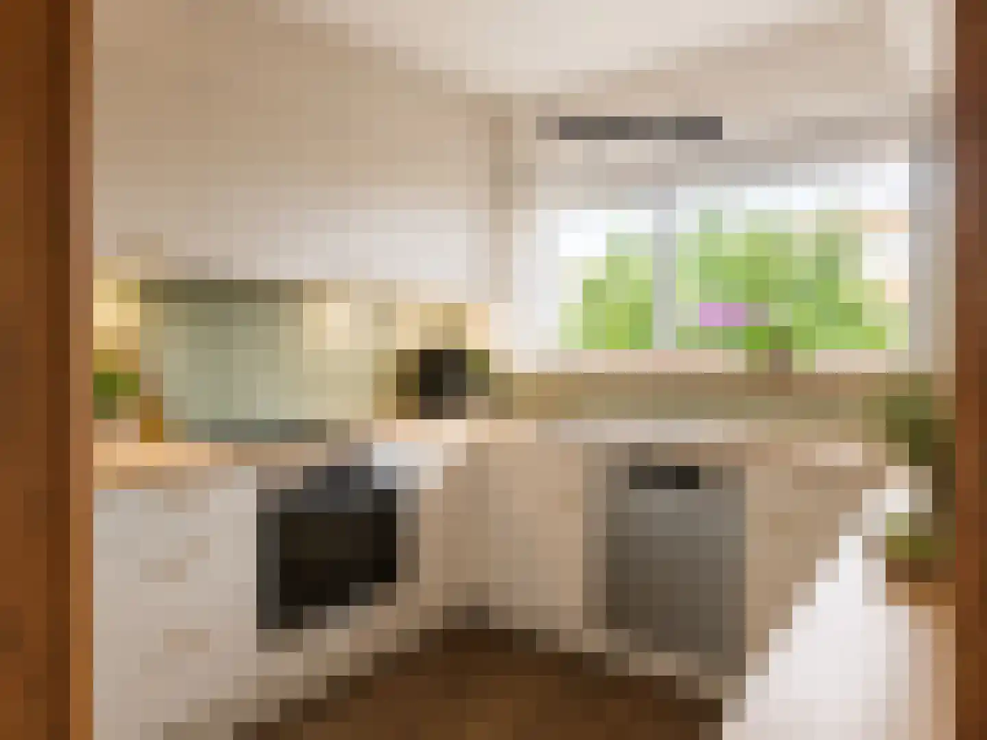Meester J. Henderikxstraat 76 Julianadorp thumbnail 16