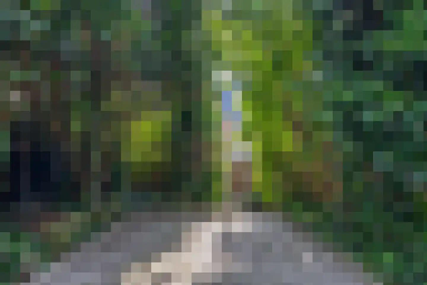Meester J. Henderikxstraat 76 Julianadorp thumbnail 22