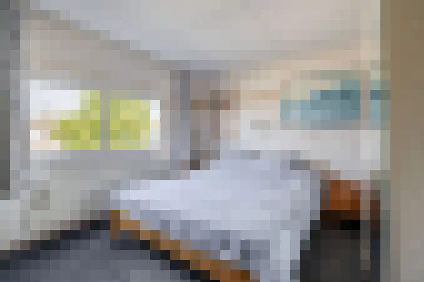 Meester J. Henderikxstraat 76 Julianadorp thumbnail 24