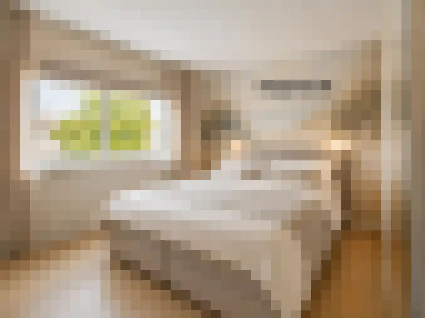 Meester J. Henderikxstraat 76 Julianadorp thumbnail 25