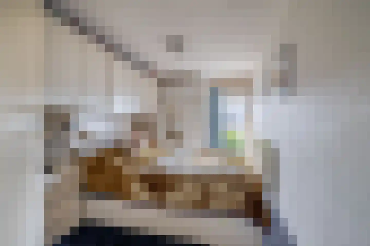 Meester J. Henderikxstraat 76 Julianadorp thumbnail 26